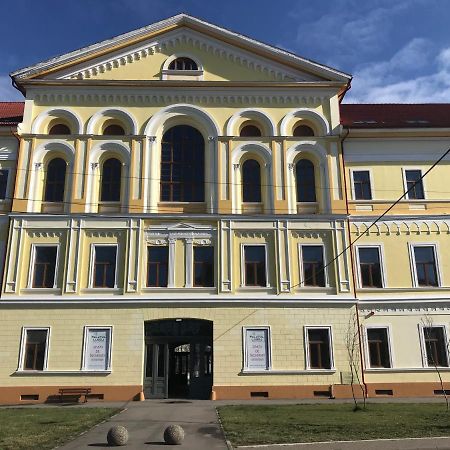 Apartament Palatul Lugoj Zewnętrze zdjęcie